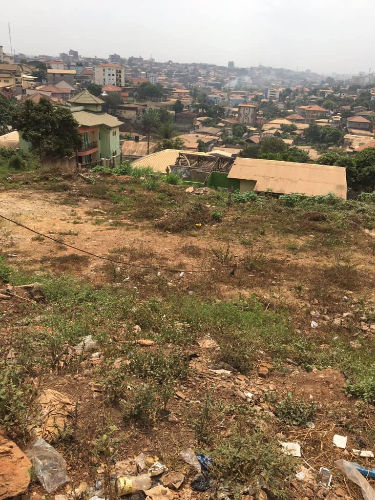 WhatsApp Image 2026 02 08 At 11.56.21