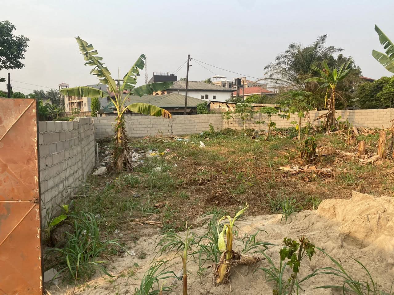 whatsapp image 2026 02 08 at 19.02.17.jpeg