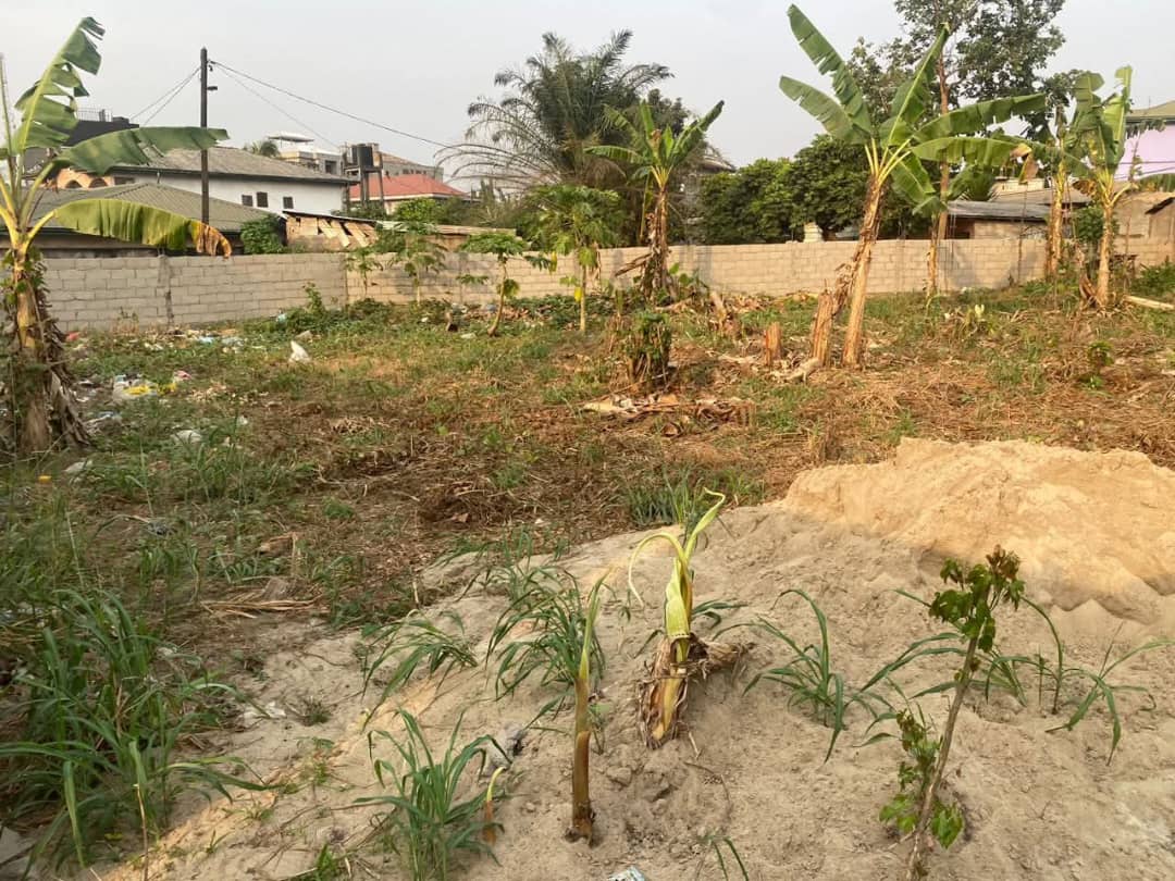 whatsapp image 2026 02 08 at 19.02.18.jpeg