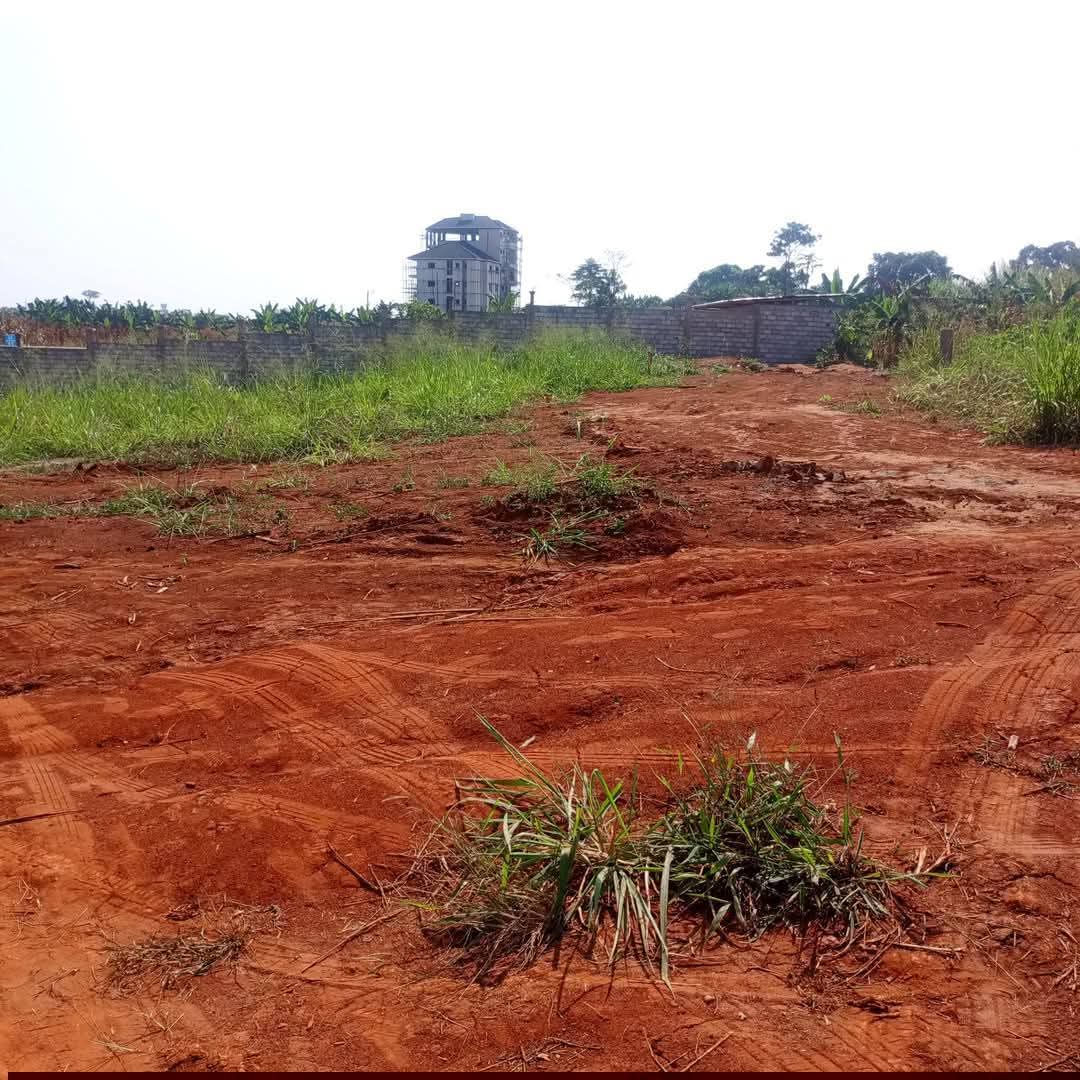 Agence immobilière au Golf