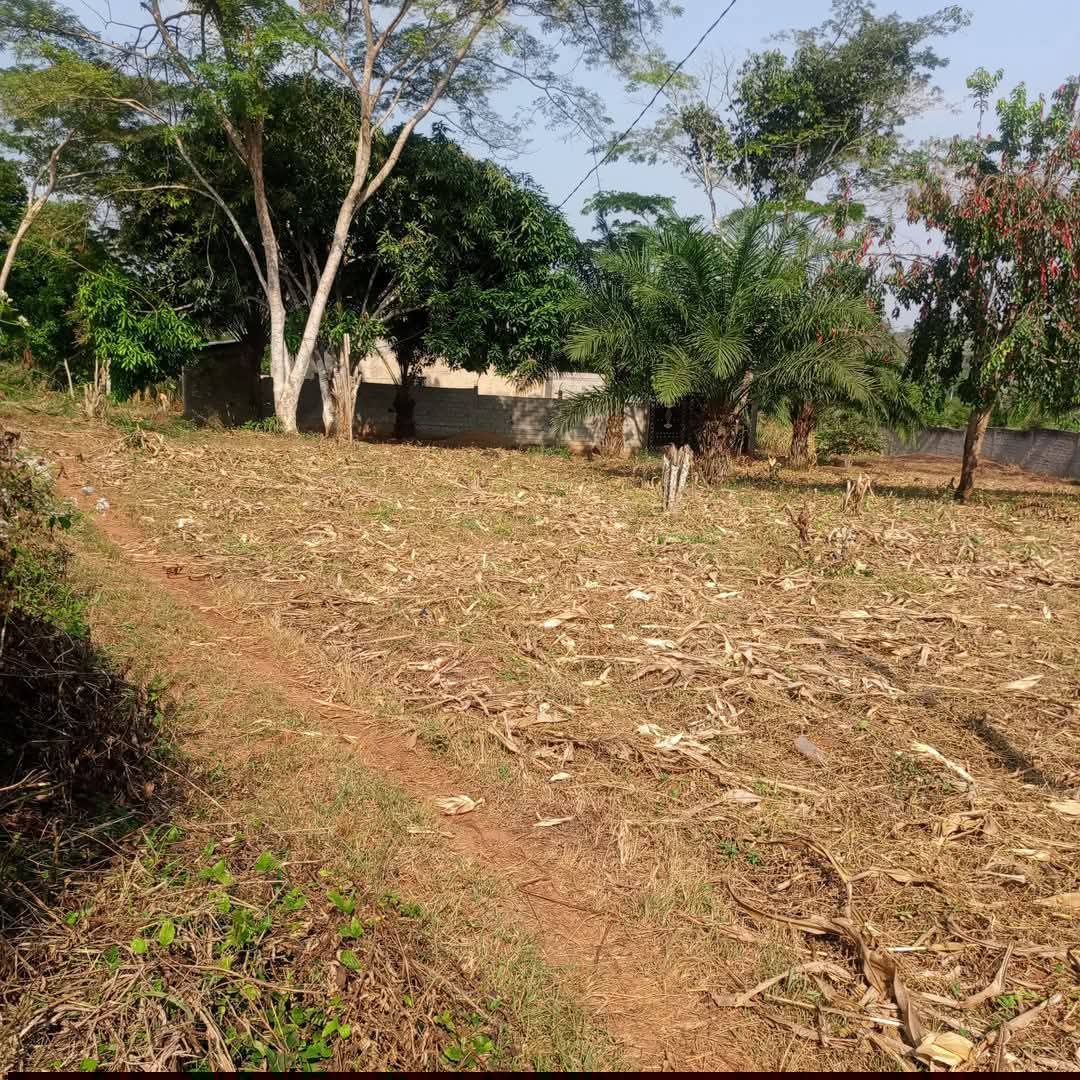 whatsapp image 2026 02 10 at 16.36.10.jpeg