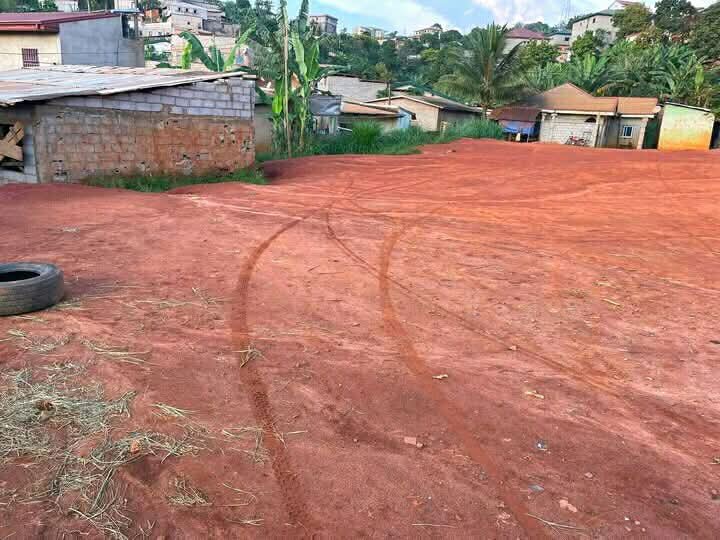 WhatsApp Image 2026 02 10 At 16.38.06